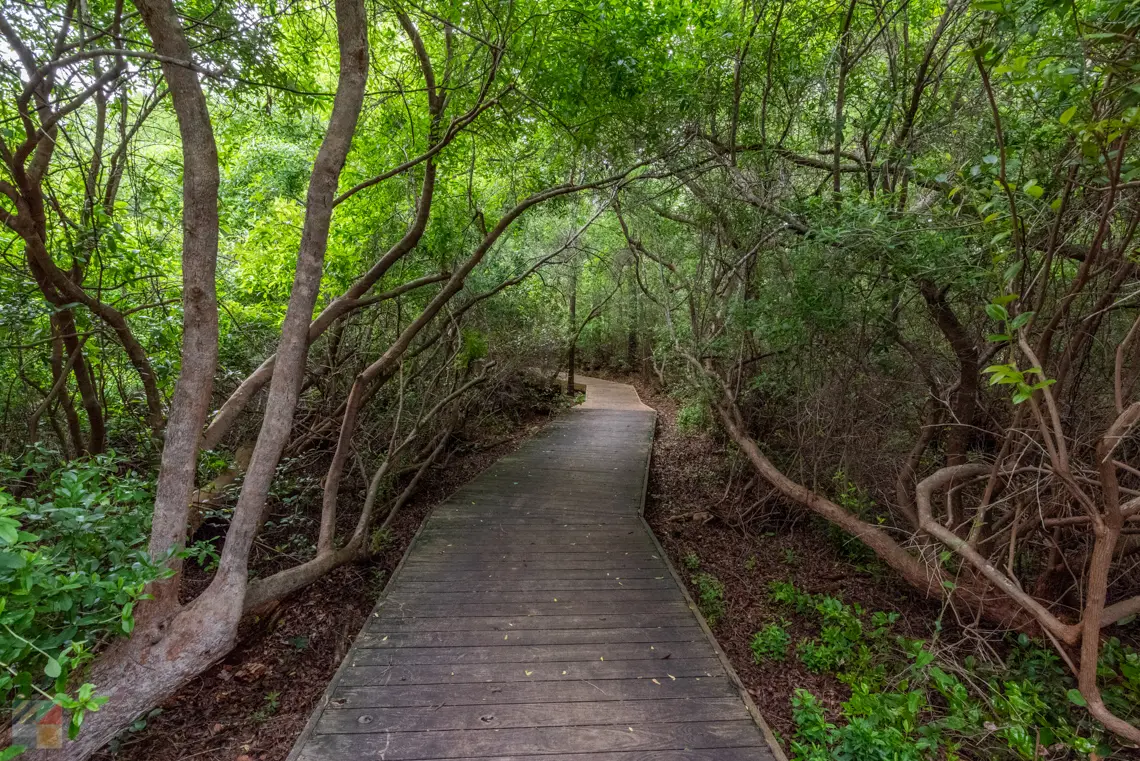 Halyburton Park Wilmington NC