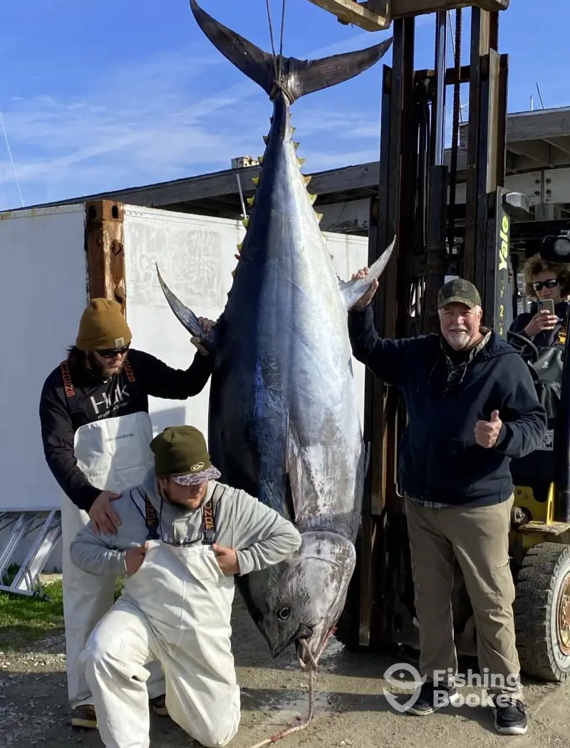 Wet N Wild Sportfishing charter image 3