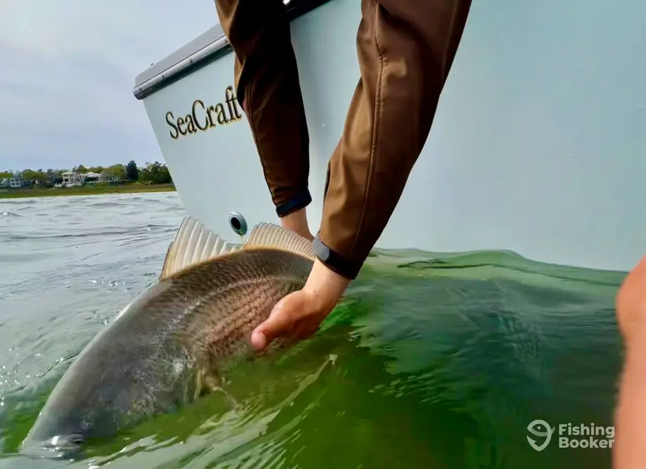 ILM Fishing – Wilmington 21' charter image 2