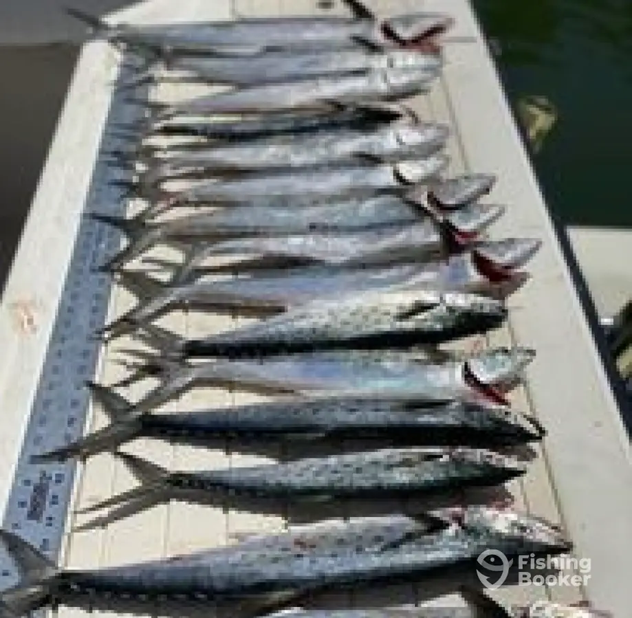 Sorta Salty Fishing Charters – 23' Bay Rider charter image 6
